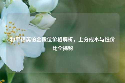 和平精英铂金段位价格解析,上分成本与性价比全揭秘