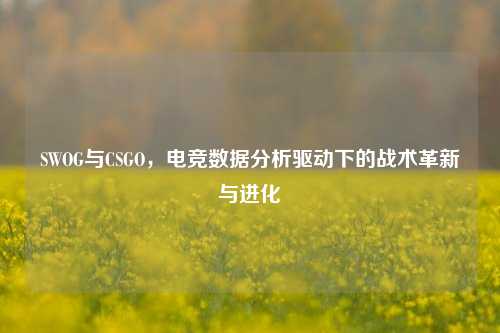 SWOG与CSGO，电竞数据分析驱动下的战术革新与进化