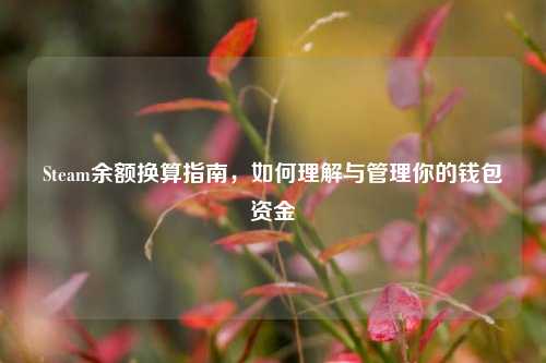 Steam余额换算指南,如何理解与管理你的钱包资金