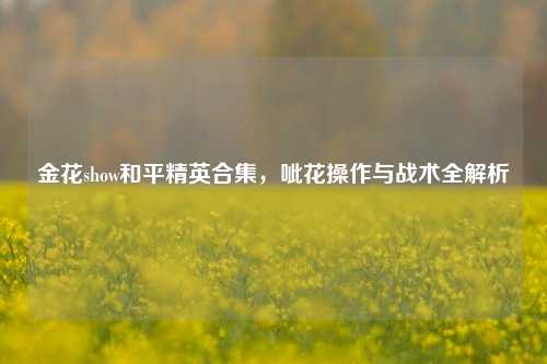 金花show和平精英合集，呲花操作与战术全解析