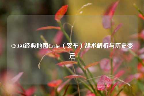 CS:GO经典地图Cache（叉车）战术解析与历史变迁