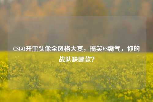 CSGO开黑头像全风格大赏,搞笑VS霸气,你的战队缺哪款?