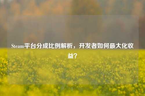 Steam平台分成比例解析,开发者如何最大化收益?