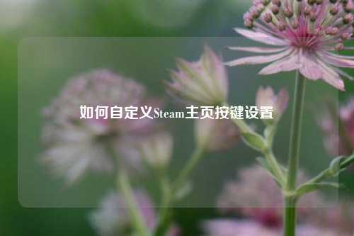 如何自定义Steam主页按键设置