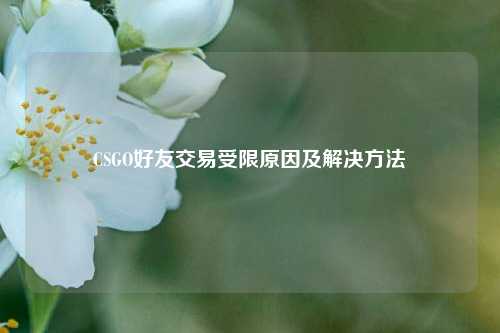 CSGO好友交易受限原因及解决方法