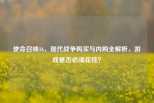使命召唤16，现代战争购买与内购全解析，游戏是否必须花钱？