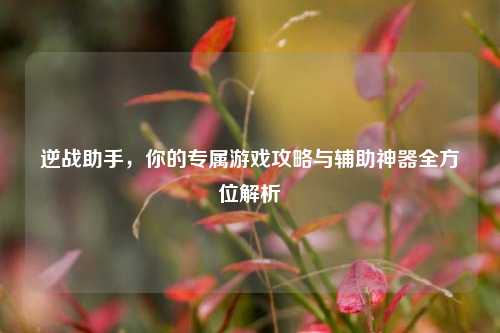 逆战助手，你的专属游戏攻略与辅助神器全方位解析