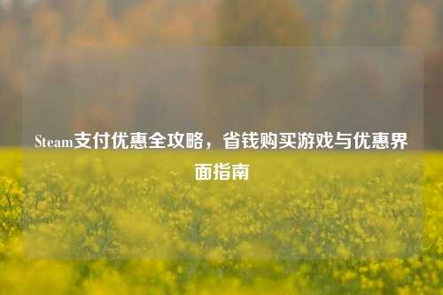 Steam支付优惠全攻略，省钱购买游戏与优惠界面指南