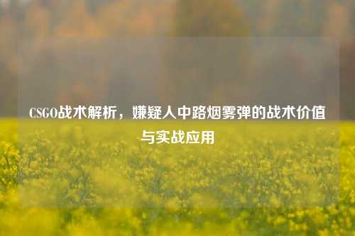 CSGO战术解析,嫌疑人中路烟雾弹的战术价值与实战应用
