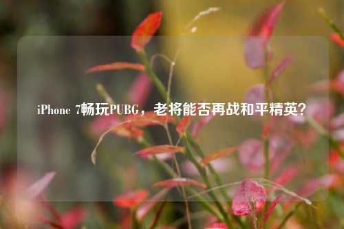 iPhone 7畅玩PUBG,老将能否再战和平精英?