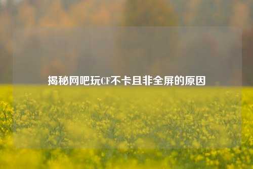 揭秘网吧玩CF不卡且非全屏的原因