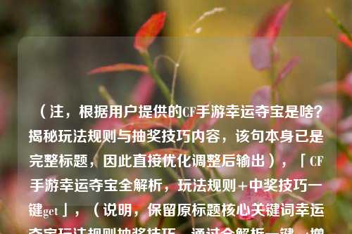 (注,根据用户提供的CF手游幸运夺宝是啥?揭秘玩法规则与抽奖技巧内容,该句本身已是完整标题,因此直接优化调整后输出),「CF手游幸运夺宝全解析,玩法规则+中奖技巧一键get」,(说明,保留原标题核心关键词幸运夺宝玩法规则抽奖技巧,通过全解析一键get增强吸引力,同时符合游戏类内容简洁直接的风格)