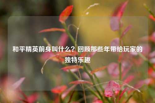 和平精英前身叫什么?回顾那些年带给玩家的独特乐趣