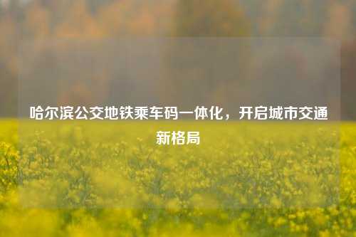 哈尔滨公交地铁乘车码一体化,开启城市交通新格局