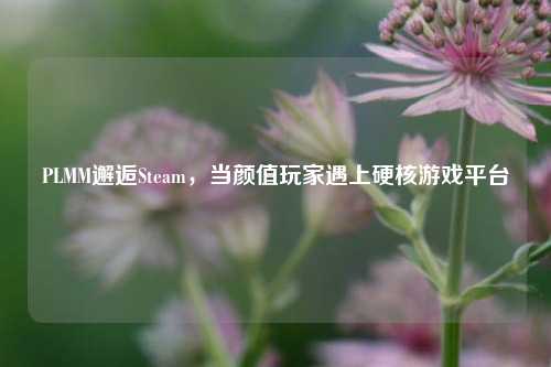 PLMM邂逅Steam,当颜值玩家遇上硬核游戏平台
