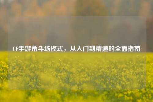CF手游角斗场模式，从入门到精通的全面指南