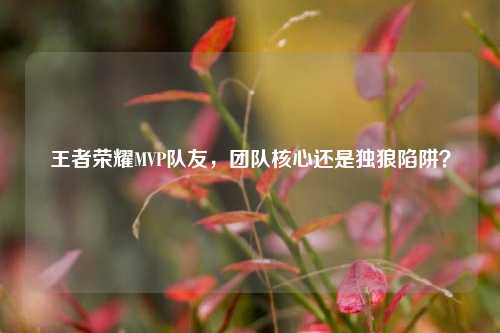 王者荣耀MVP队友，团队核心还是独狼陷阱？