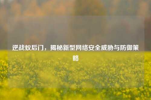 逆战蚁后门，揭秘新型网络安全威胁与防御策略