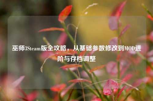 巫师3Steam版全攻略，从基础参数修改到MOD进阶与存档调整