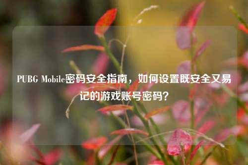 PUBG Mobile密码安全指南，如何设置既安全又易记的游戏账号密码？