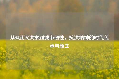 从98武汉洪水到城市韧性,抗洪精神的时代传承与新生