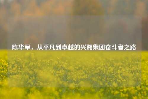 陈华军,从平凡到卓越的兴湘集团奋斗者之路
