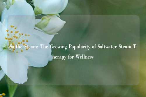 Salthe Steam: The Growing Popularity of Saltwater Steam Therapy for Wellness