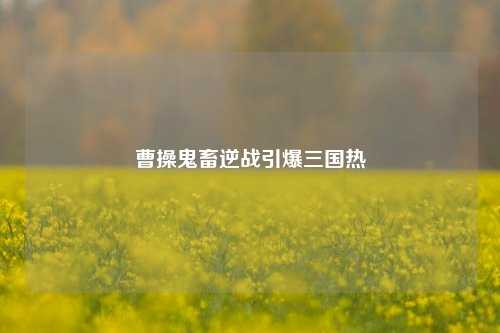 曹操鬼畜逆战引爆三国热