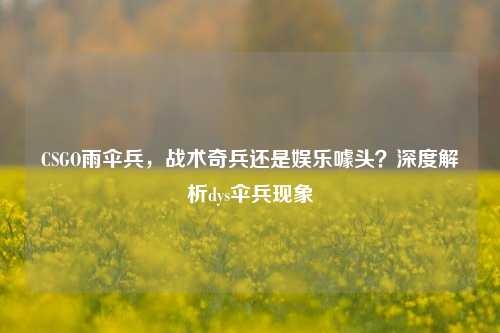 CSGO雨伞兵,战术奇兵还是娱乐噱头?深度解析dys伞兵现象