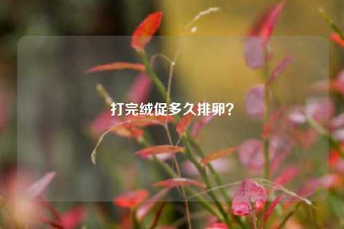 打完绒促多久排卵?