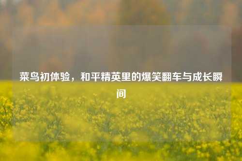 菜鸟初体验，和平精英里的爆笑翻车与成长瞬间