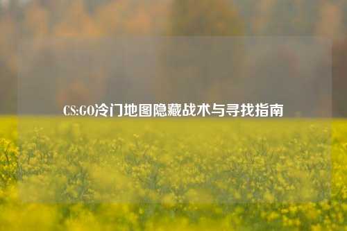 CS:GO冷门地图隐藏战术与寻找指南