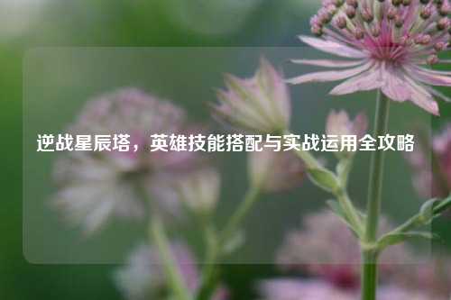逆战星辰塔，英雄技能搭配与实战运用全攻略