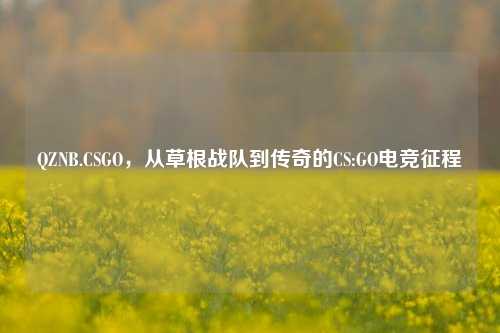 QZNB.CSGO，从草根战队到传奇的CS:GO电竞征程