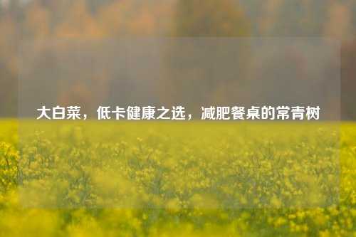 大白菜，低卡健康之选，减肥餐桌的常青树