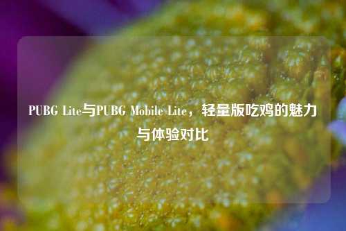 PUBG Lite与PUBG Mobile Lite,轻量版吃鸡的魅力与体验对比