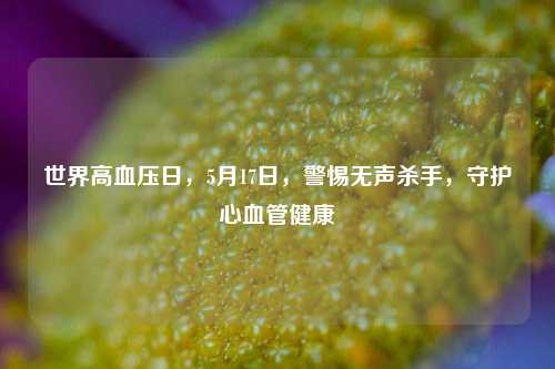 世界高血压日,5月17日,警惕无声杀手,守护心血管健康