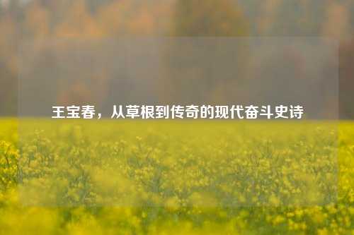 王宝春,从草根到传奇的现代奋斗史诗