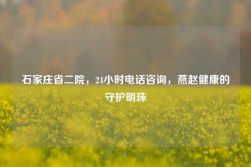 石家庄省二院，24小时电话咨询，燕赵健康的守护明珠