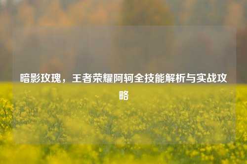 暗影玫瑰，王者荣耀阿轲全技能解析与实战攻略