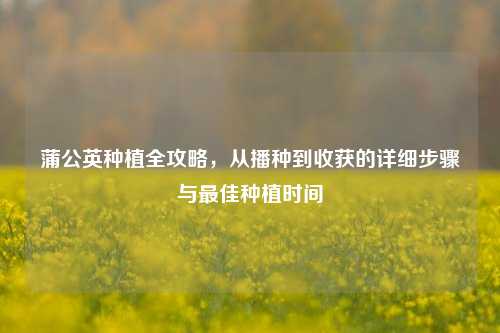 蒲公英种植全攻略,从播种到收获的详细步骤与最佳种植时间