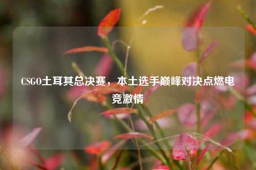 CSGO土耳其总决赛,本土选手巅峰对决点燃电竞激情