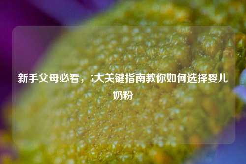 新手父母必看,5大关键指南教你如何选择婴儿奶粉