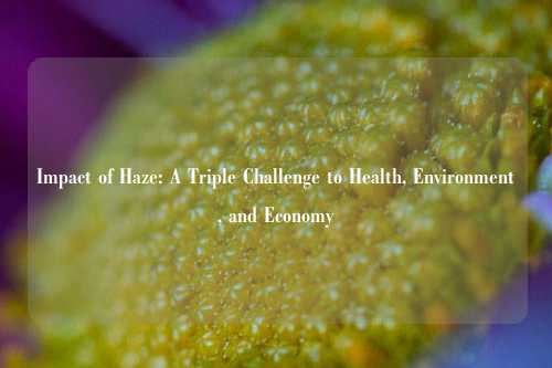 Impact of Haze: A Triple Challenge to Health, Environment, and Economy