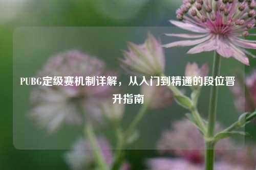 PUBG定级赛机制详解,从入门到精通的段位晋升指南