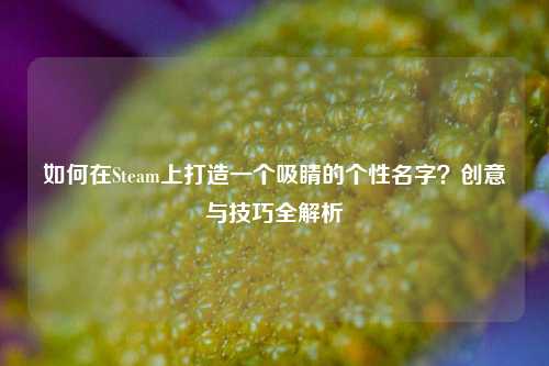 如何在Steam上打造一个吸睛的个性名字?创意与技巧全解析