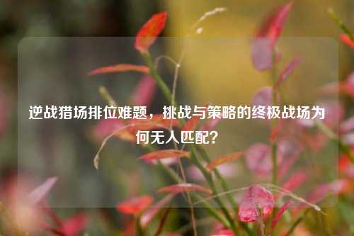逆战猎场排位难题，挑战与策略的终极战场为何无人匹配？