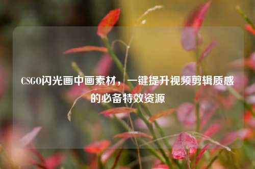 CSGO闪光画中画素材，一键提升视频剪辑质感的必备特效资源
