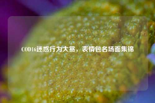 COD16迷惑行为大赏，表情包名场面集锦