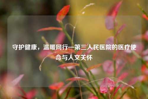 守护健康,温暖同行—第三人民医院的医疗使命与人文关怀